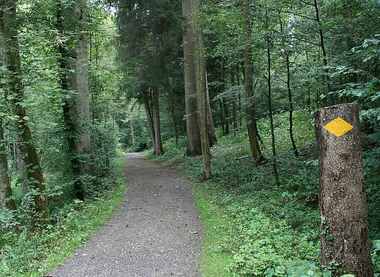 Zur Sicherheit der Wanderer und Spaziergänger sperrt das Forstrevier Heitersberg Waldstrassen rund um die Holzereiarbeiten ab. Foto: ska/Archiv