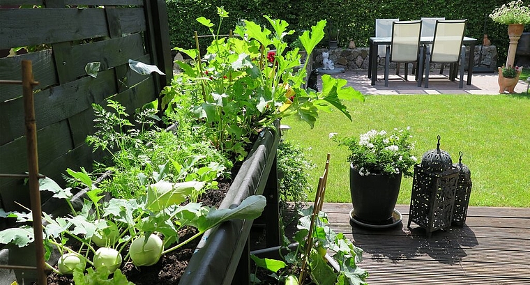Regula Siegrist tritt mit ihrer heimischen Oase in der Kategorie «Hausgarten» an – links zu sehen ist ihr neues Hochbeet für Gemüse. Foto: ska 