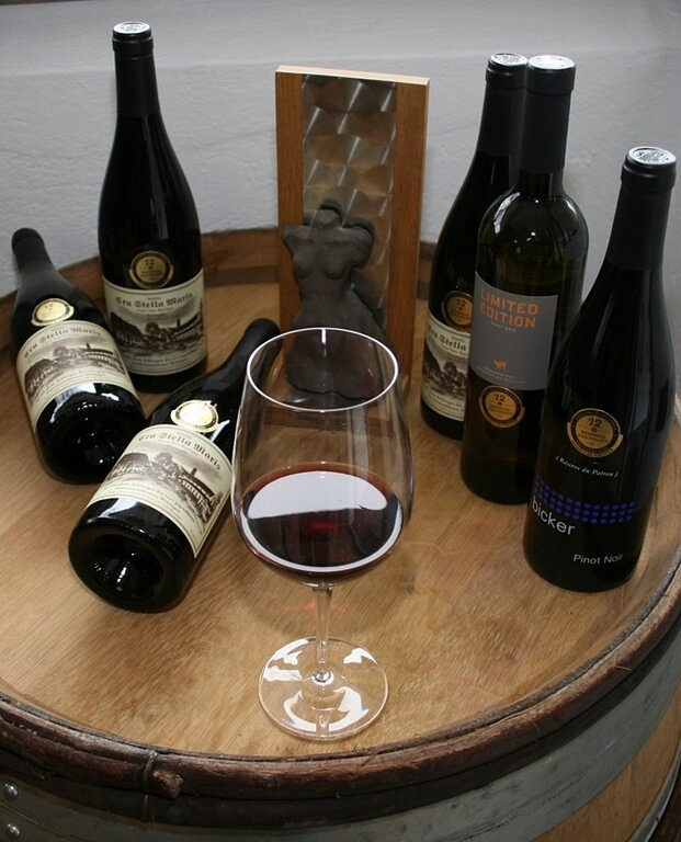 Ausgezeichnete Weine aus der Region: links der Goldmedaillengewinner «Stella Maris 2011».Foto: ska