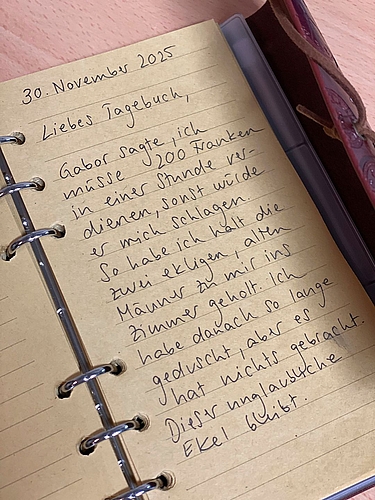 Im Tagebuch erfährt man vom Schicksal einer jungen Frau, die Opfer von Menschenhandel wurde. Im Tagebuch erfährt man vom Schicksal einer jungen Frau, die Opfer von Menschenhandel wurde.