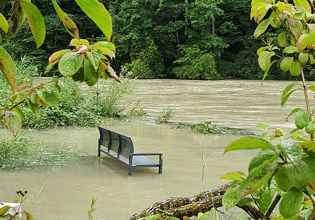 Leserin Carmen Colombi hat diese Aufnahme entlang der Limmat gemacht.