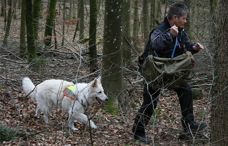 Den gut im Gebüsch versteckten Rucksack hat Hündin Chayenne trotzdem gefunden und mit dem Bringsel in der Schnauze bei Hundeführerin Angela Stenger Meldung gemacht. Fotos: ska