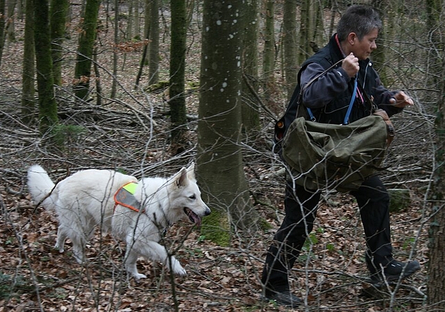 Den gut im Gebüsch versteckten Rucksack hat Hündin Chayenne trotzdem gefunden und mit dem Bringsel in der Schnauze bei Hundeführerin Angela Stenger Meldung gemacht. Fotos: ska
