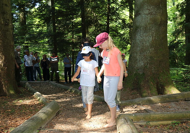 Kinder lernen spielerisch den Wald kennen. (Melanie Bär)
