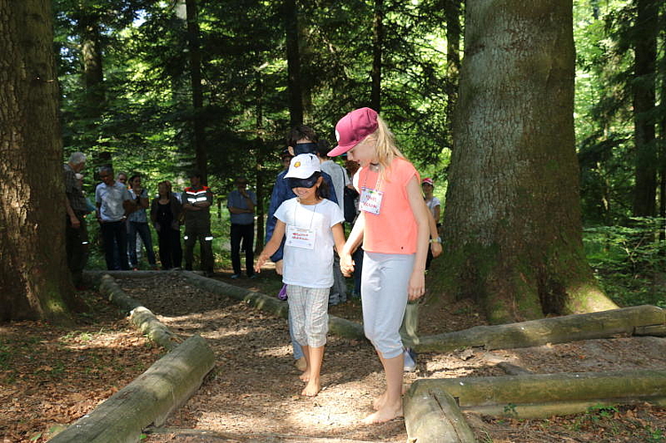 Kinder lernen spielerisch den Wald kennen. (Melanie Bär)
