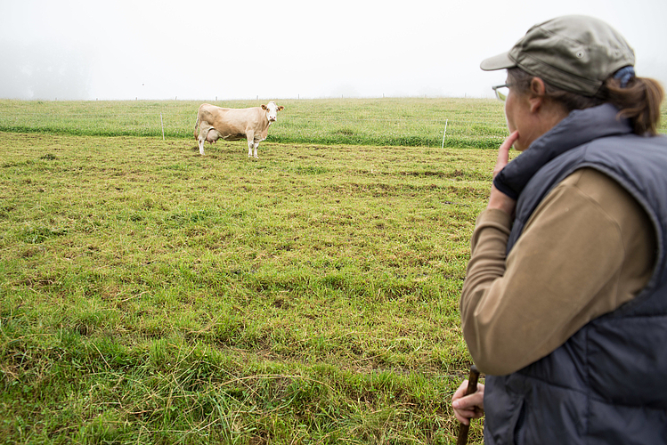 Zwei Mal am Tag schaut die Landwirtin nach den Tieren.
