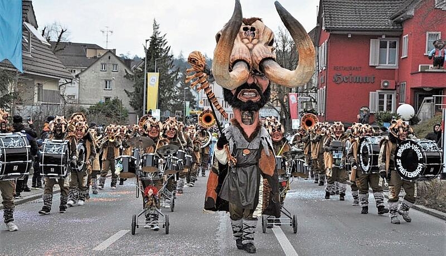 Die Bräusi-Vögel mit neuem Kostüm am Dietiker Kinderumzug am 28. Januar. zVg
