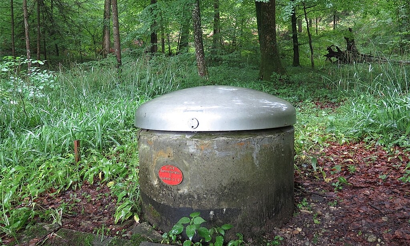 Trinkwasserschutzgebiet Eine der Quellfassungen im Rütimoos südwestlich von Killwangen am Heitersberg. Fotos: Mü
