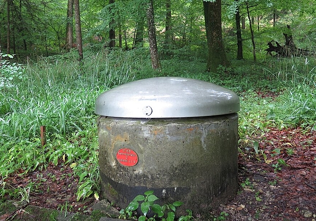 Trinkwasserschutzgebiet Eine der Quellfassungen im Rütimoos südwestlich von Killwangen am Heitersberg. Fotos: Mü
