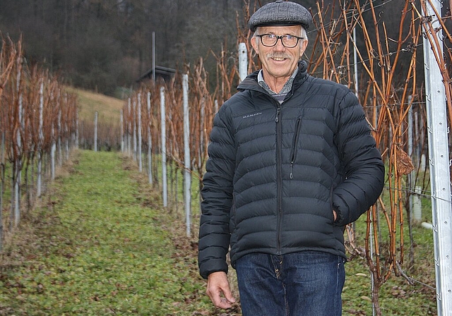 Wädi Egloff <em>war 43 Jahre</em><em> Gemeindewinzer von Wettingen. In dieser Zeit erntete er 259 Tonnen Trauben. Sibylle Egloff</em>