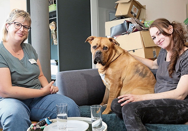 Psychiatrie-Spitex vor Ort: Sabrina Hug (l.) besucht Isabella Heykal einmal pro Woche – mit dabei Bordeaux-Dogge Molly.Bild: Melanie Bär