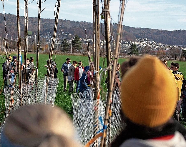 Agroforst Sie halfen mit, Bäume und Hecken zu pflanzen.zVg/Biohof Fondli