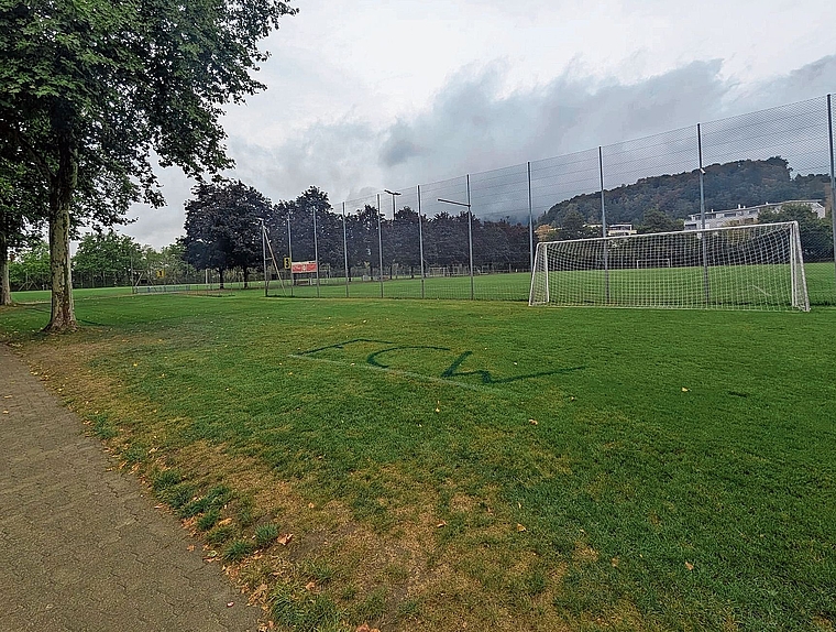 Sportplatz Kreuzzelg: Hier soll ein Kunstrasen verlegt werden. Claudia Laube/BT