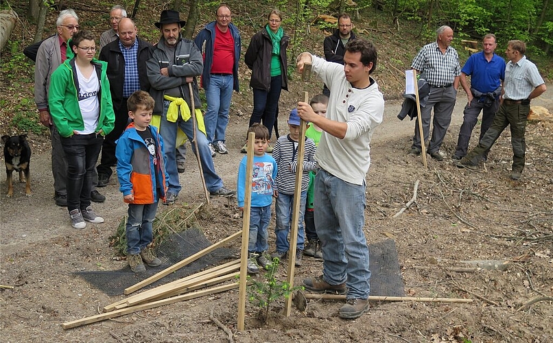 Junge Bäumchen werden mit Netzen vor Rehen geschützt: Ekaitz Garcia, Lernender Forstwart im 1. Lehrjahr, zeigt, wies geht. Die Jäger hatten spannende Tierpräparate mitgebracht. Fotos: ska 