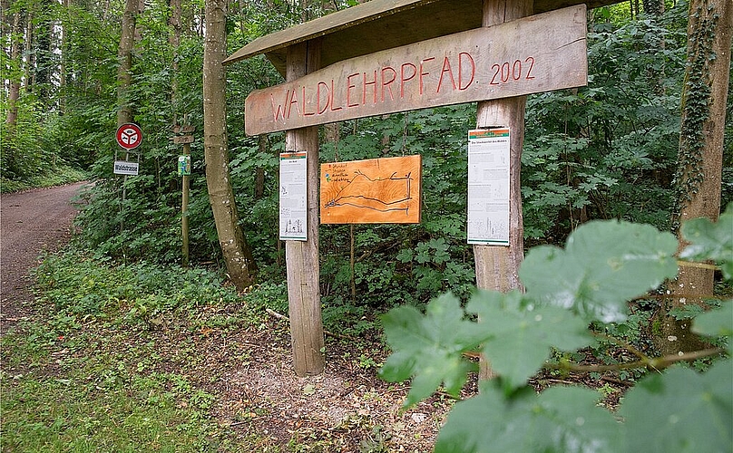 Den Waldlehrpfad <em>hat die Ortsbürgergemeinde finanziert. </em>
