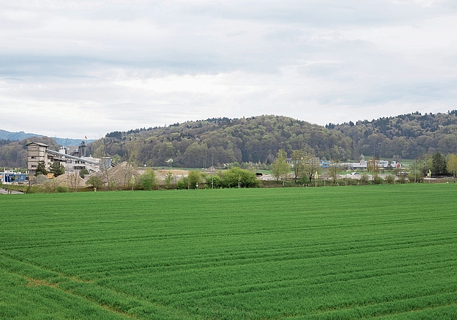 Auf dieser Grundfläche könnte Hitachi seinen    Campus ansiedeln. Severin Bigler