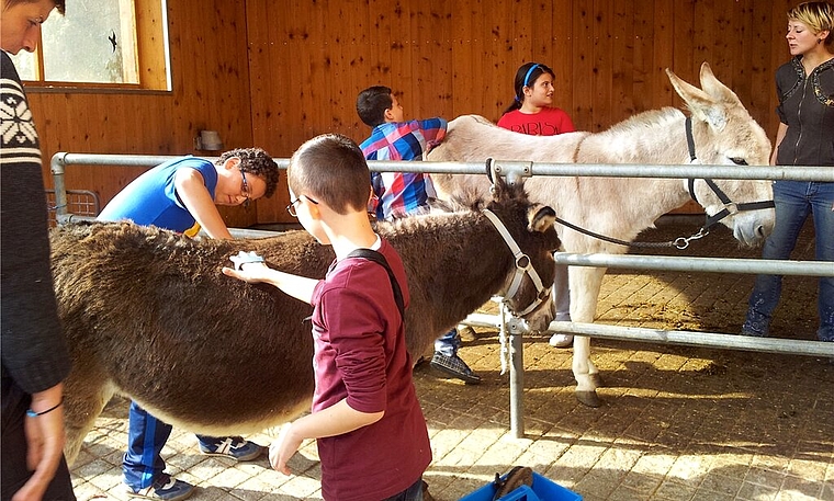 Beim Eselputzen auf dem Hof der Familie Sozzi. Foto: zVg