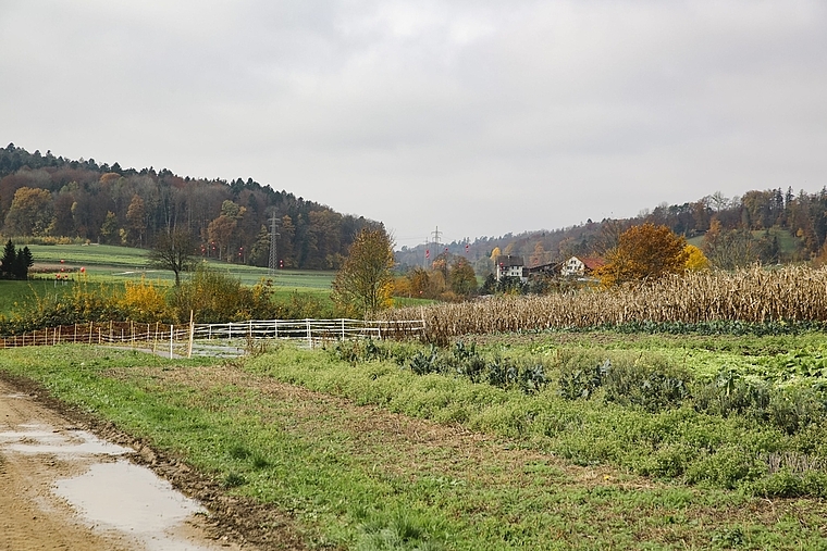 Die Deponie Steindler soll zwischen Würenlos und Otelfingen gebaut werden. zVg