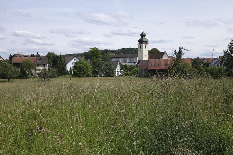 Auf der Zentrumswiese soll das Alterszentrum zu stehen kommen. (AZ Archiv)
