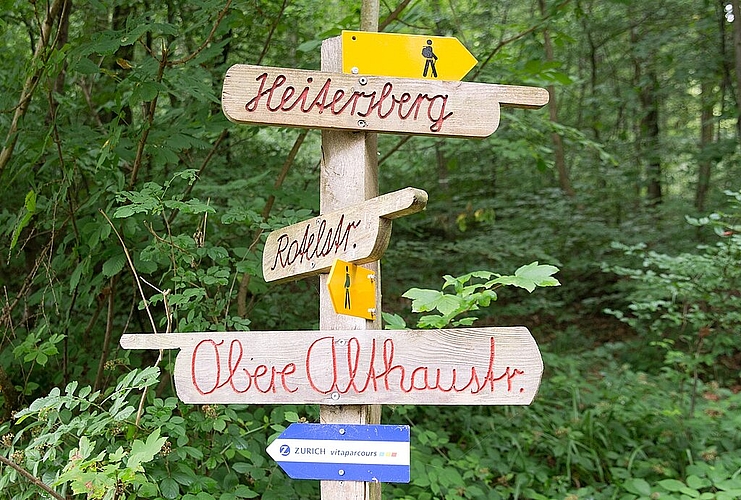 Der Wald hat viele Attraktionen zu bieten.
