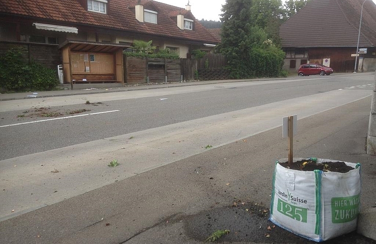 Zudem haben sie Blumen und Erde auf der Strasse verteilt.