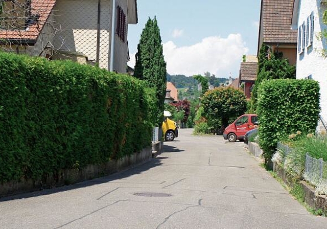 Die Austrasse wird eines der Sanierungs-Unterfangen sein. Peter Graf