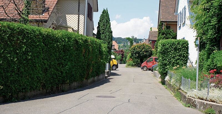 Die Austrasse wird eines der Sanierungs-Unterfangen sein. Peter Graf