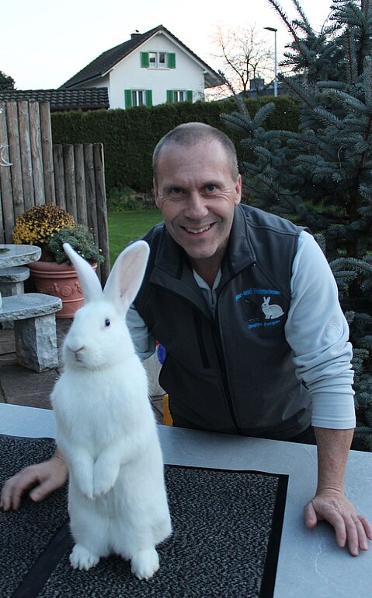Daniel Bodenmann <em>mit einem seiner Weisswiener-Kaninchen, das er für die Ausstellungen benutzt.</em><em> Rahel Bühler</em>