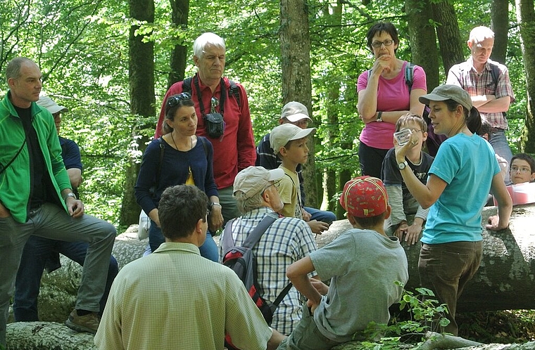 Ist das Totholz am Lägernhang wirklich tot? Interessierte Besucher lauschten den Ausführungen von Franziska Kaiser von der Abteilung Wald. Foto: zVg