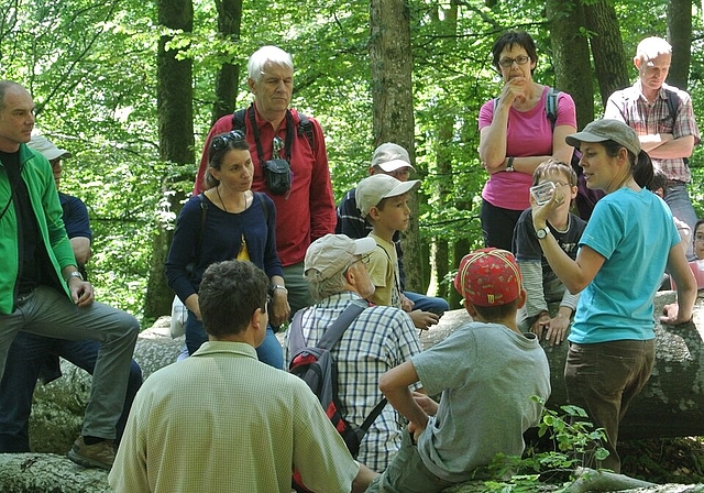 Ist das Totholz am Lägernhang wirklich tot? Interessierte Besucher lauschten den Ausführungen von Franziska Kaiser von der Abteilung Wald. Foto: zVg