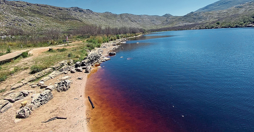 Silvermine-Damm mit dem durch Eisen gefärbten Wasser im Table Mountain National Park. bär
