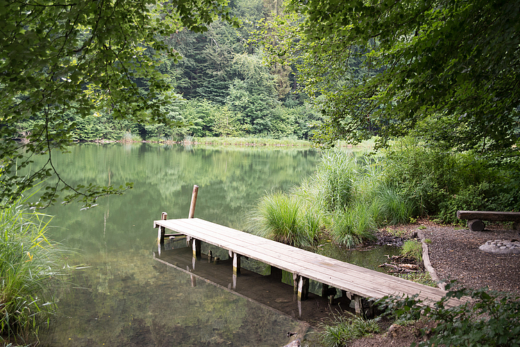 hier kann geschwommen werden.