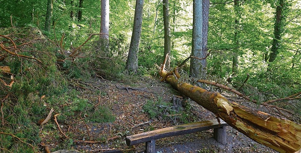 Die Feuerstelle selbst blieb unbeschädigt.
