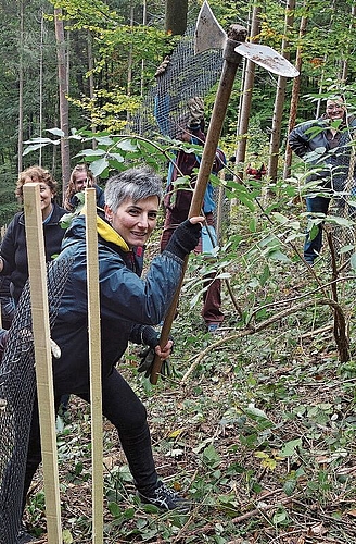 Gemeindeammann Roland Kuster im Wald im Einsatz.
