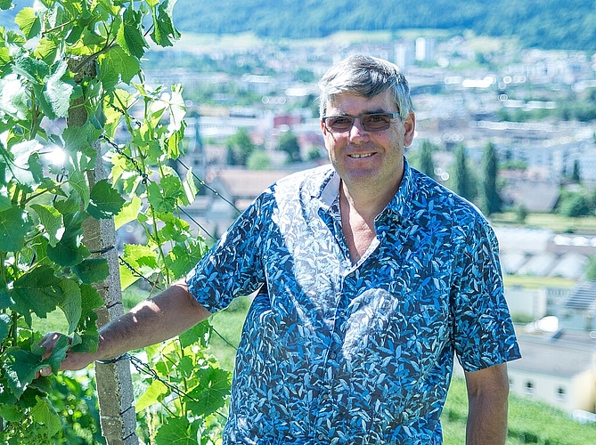 Meinrad Steimer in seinem Weingut in Wettingen. Archiv