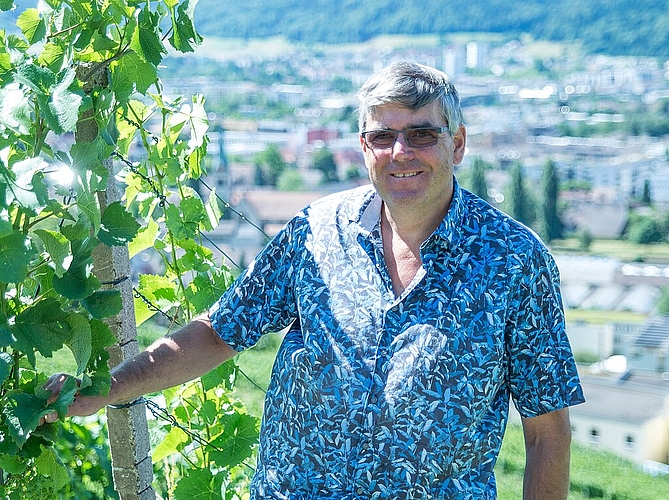 Meinrad Steimer in seinem Weingut in Wettingen. Archiv