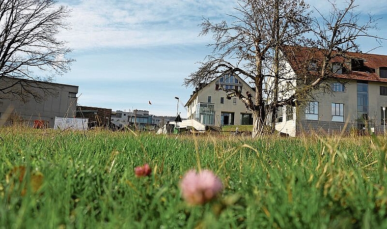 Der Standort Zentrumswiese ist bestätigt, das Baurecht erteilt. Melanie Bär/Archiv