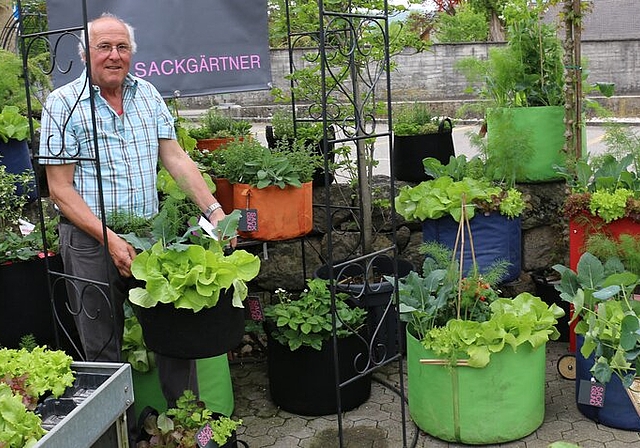Walter Germann von Lägere Pflanzen AG präsentiert den Garten im Sack, der auch auf kleinem Raum Platz findet. Foto: bär 