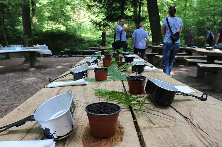 Was der Wald zu bieten hat.
