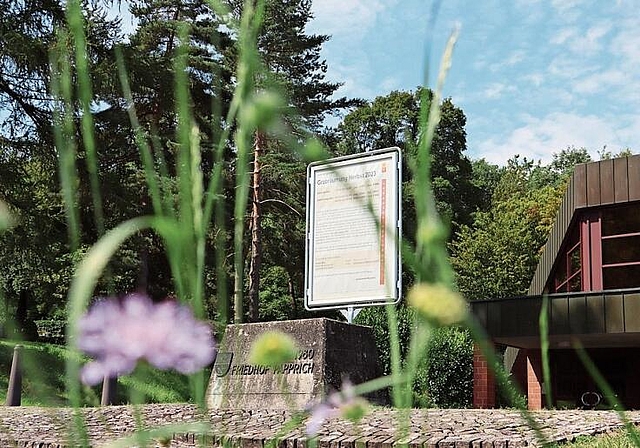 Auf dem Friedhof Papprich werden im Herbst mehrere Grabfelder geräumt. (rfb)