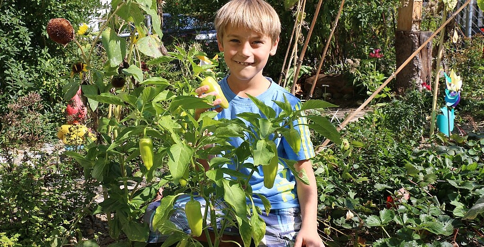 Oliver Schmon zeigt stolz seine eigenen Peperoni aus dem Garten.
