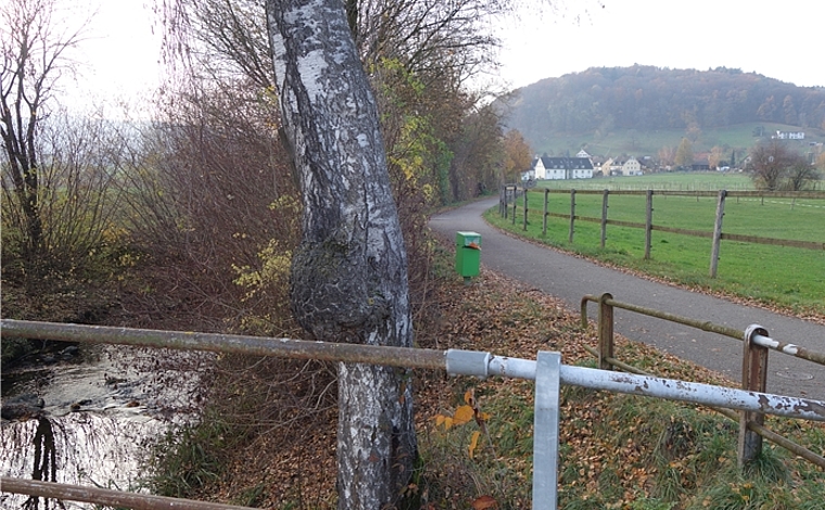 Noch ist der Furtbach in Würenlos kanalisiert. (Dieter Minder)