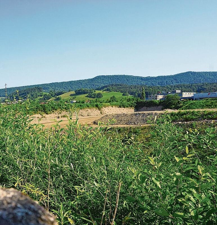 Kiesgruben sind beliebte Biotope für allerlei Tierarten. Rinaldo Feusi