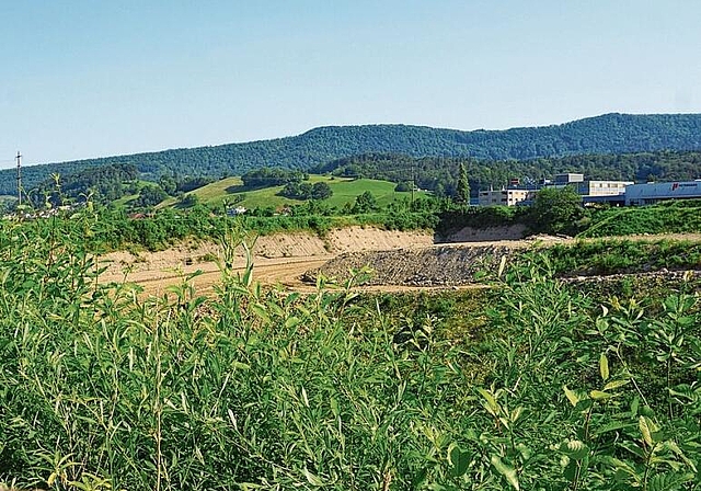 Kiesgruben sind beliebte Biotope für allerlei Tierarten.   Rinaldo Feusi