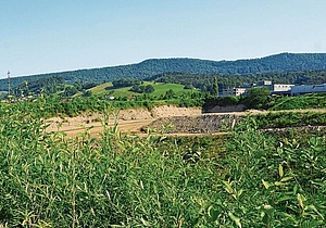 Kiesgruben sind beliebte Biotope für allerlei Tierarten.   Rinaldo Feusi