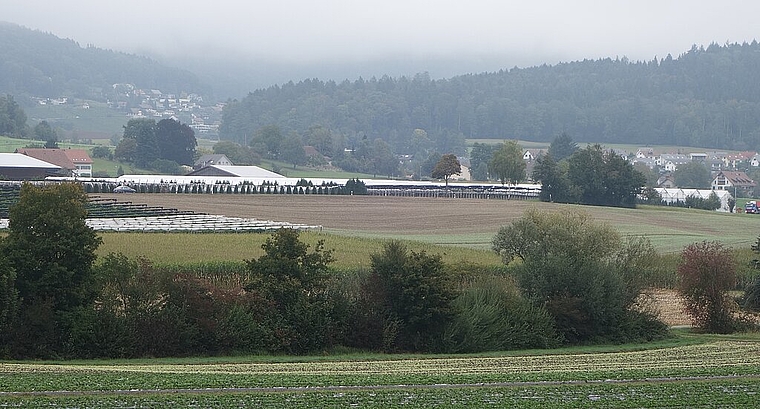 Im Gebiet Steindler in Würenlos ist eine Deponie für sauberen Aushub geplant. Das Areal liegt an der Grenze zum Kanton Zürich. Dieter Minder
