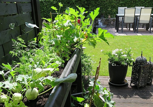 Regula Siegrist tritt mit ihrer heimischen Oase in der Kategorie «Hausgarten» an – links zu sehen ist ihr neues Hochbeet für Gemüse. Foto: ska 