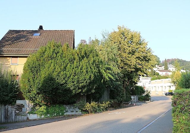 An der Steinbruchstrasse<em> kam es zu Rauchemissionen, Aschenproben ergaben keine Auffälligkeiten.Melanie Bär</em>
