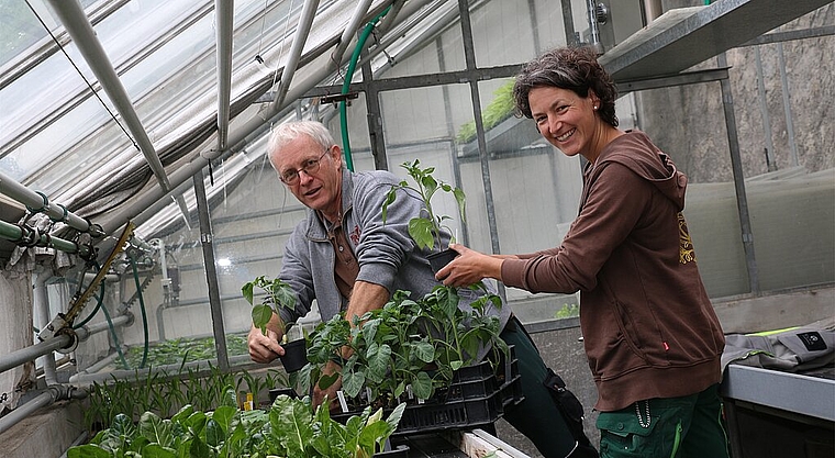 Beni Egloff und Katrin Cavigelli <em>im Treibhaus der Klostergärtnerei.Melanie Bär</em>