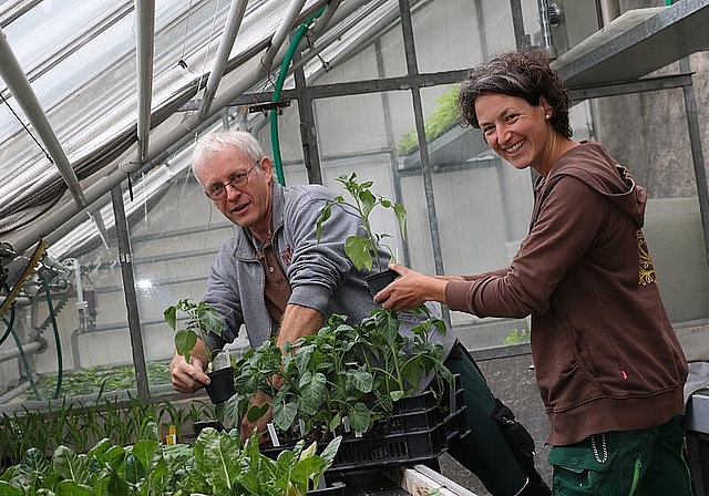 Beni Egloff und Katrin Cavigelli <em>im Treibhaus der Klostergärtnerei.Melanie Bär</em>